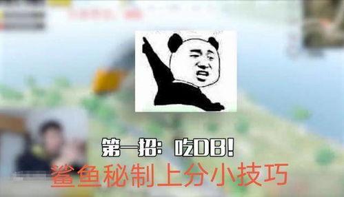 db吃瓜小组,网络舆论场中的“瓜王”传奇