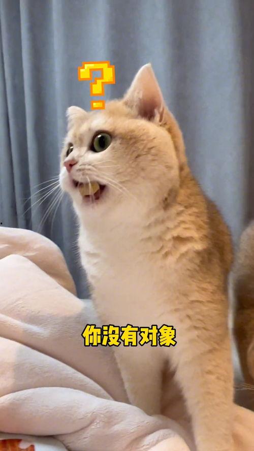 吃瓜成大猩猩,揭秘奇特的动物饮食之谜