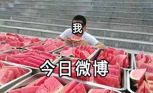 吃瓜大赛完结,全民狂欢，揭秘娱乐圈幕后风云