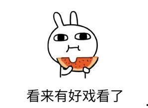 专注吃瓜嘤嘤怪,揭秘网络热词背后的文化现象