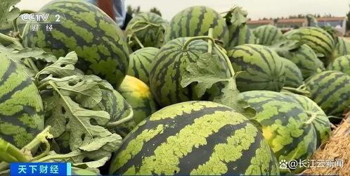 最新全网吃瓜,最新吃瓜事件大盘点！