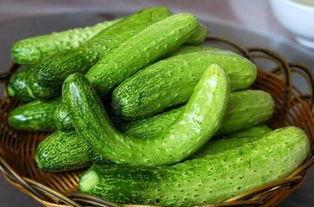 减肥可以吃葛瓜,天然低脂美食，轻松享瘦生活