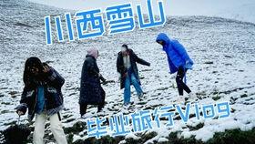 vlog吃瓜文案,一场视觉盛宴与美食诱惑的碰撞