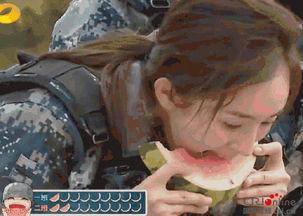 吃瓜群众诠释,吃瓜群众视角下的娱乐圈风云录