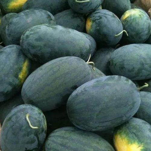 吃星星看瓜,揭秘吃星星看瓜的独特魅力