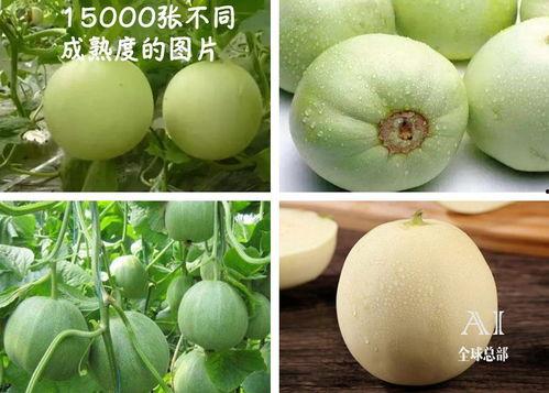 福熙吃瓜,揭秘娱乐圈幕后真相