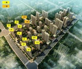 吃瓜后续东方国际城,吃瓜后续，揭秘繁华背后的故事