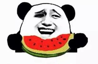 吃瓜群众正确姿势,解锁正确姿势，轻松围观娱乐圈风云