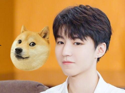 吃瓜小帅男,揭秘校园里的“瓜王”传奇