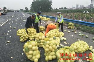 西楼的吃瓜群众,揭秘校园热点事件背后的真相