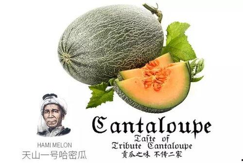 瓜哥吃瓜营销号,揭秘娱乐圈那些不为人知的幕后故事